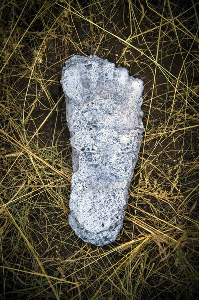 A plaster cast purported to be of sasquatch’s large footprint found in the Blue Mountains of Oregon in 1992. (Colin Mulvany / The Spokesman-Review)