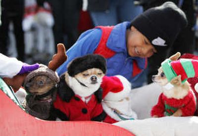 
Being just a bit overdressed for the Christmas party might be just one of the reasons some animals are feeling the stress during the mad rush of holiday season.Associated Press
 (File Associated Press / The Spokesman-Review)
