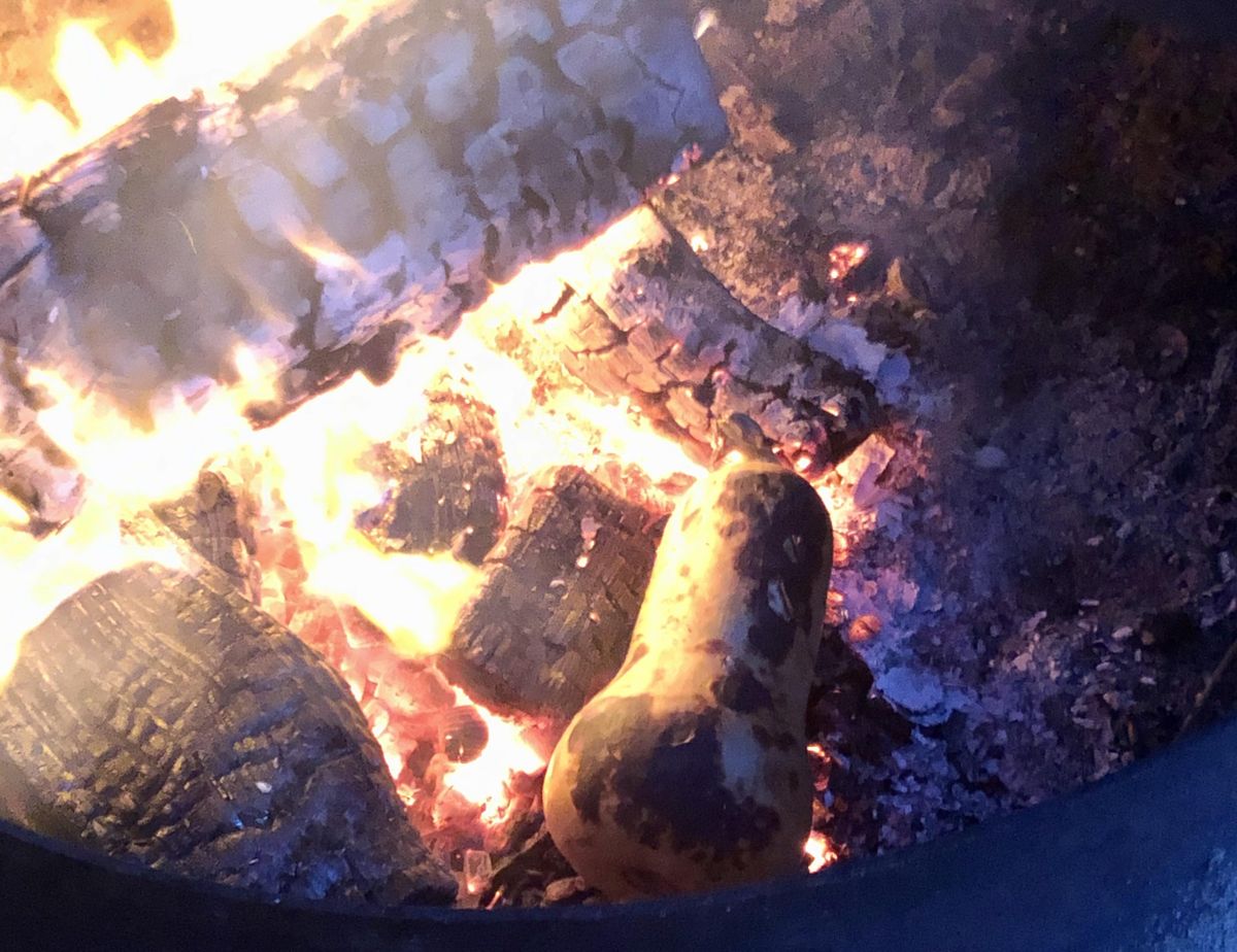 We made good use of a recent campfire on the Oregon Coast, roasting butternut squash directly over the coals. (Leslie Kelly)