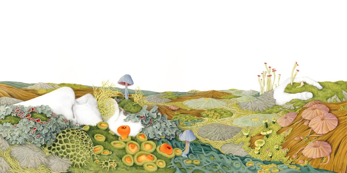 This “Immersed” piece is part of Tricia Kleinot’s “Fruiting Bodies” series, showing at the Terrain Gallery this month. (Courtesy)