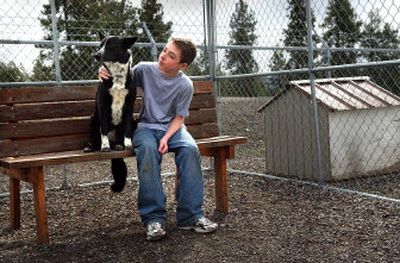 
Chris Allmand, a Mountain View seventh-grader, hangs out with a SCRAPS dog during a monthly visit to do volunteer work. 
 (BRIAN PLONKA Photos / The Spokesman-Review)