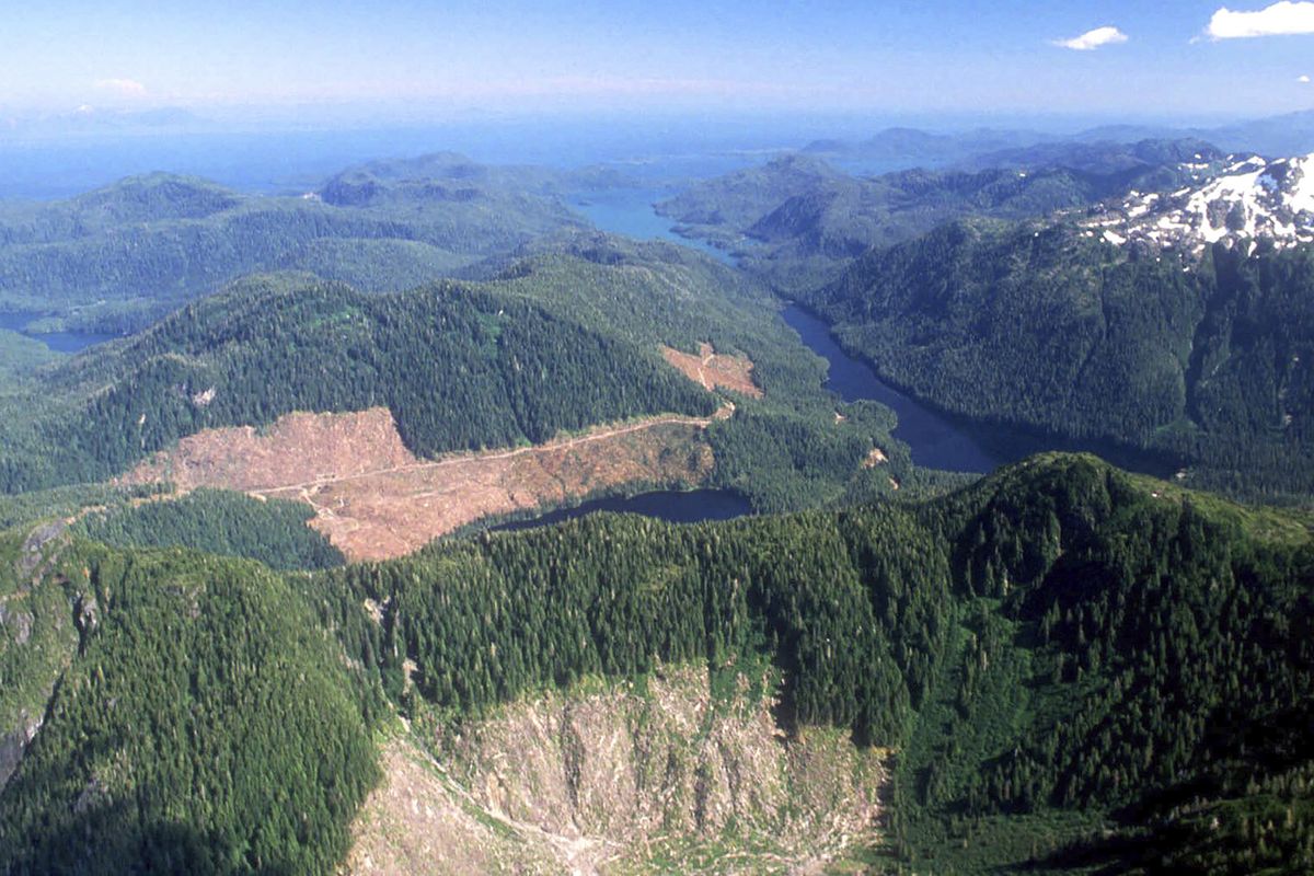 FILE - This 1990 aerial file photo, shows a section of the Tongass National Forest in Alaska that has patches of bare land where clear-cutting has occurred. The U.S. Forest Service announced plans Wednesday, Oct. 28, 2020, to lift restrictions on road building and logging in Tongass National Forest, a largely pristine rainforest in southeast Alaska that provides habitat for wolves, bears and salmon. Conservation groups vowed to fight the decision.  (Hall Anderson)