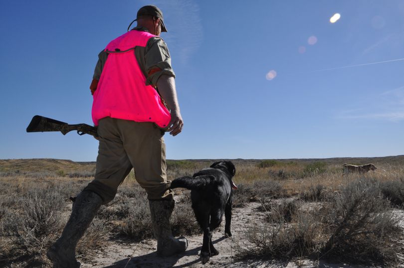 Hot pink clothing could join fluorescent orange in satisfying Montana's hunter safety clothing requirement if introduced legislation is approved by the 2017 Legislature.
 (Rich Landers)