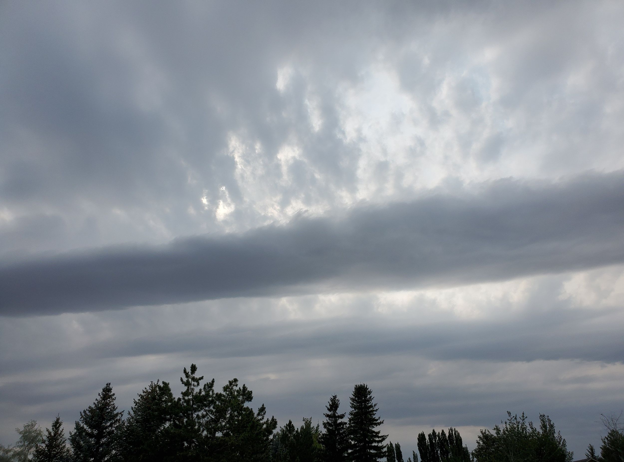 Weathercatch Finally, the crazycold spring weather is on pause The