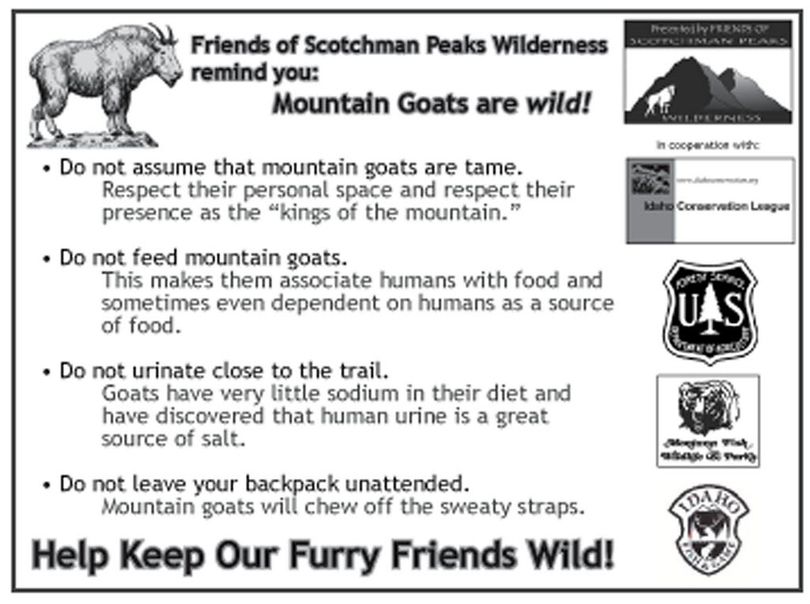 Information on how hikers can coexist harmlessly with mountain goats has been compiled on handout cards by the Friends of the Scotchman Peaks Wilderness based in Sandpoint. 
 (Friends of Scotchman Peaks Wilderness)