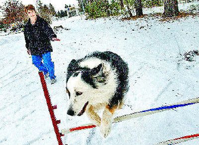 
Lyssa Metcalfe runs her dog, Indy, through the paces. She is a trainer at Lilac City Dog Training. 
 (The Spokesman-Review)