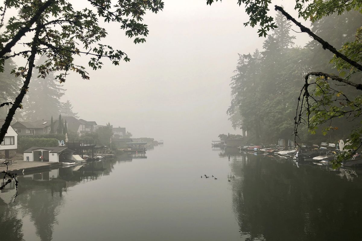 A family of ducks swims on Oswego Lake, which is almost completely obscured by wildfire smoke, in Lake Oswego, Ore., on Sept. 14. The entire Portland metropolitan region remained under a thick blanket of smog from wildfires that burned around the state and generated smoke that drifted as far east as Norway.  (Associated Press)