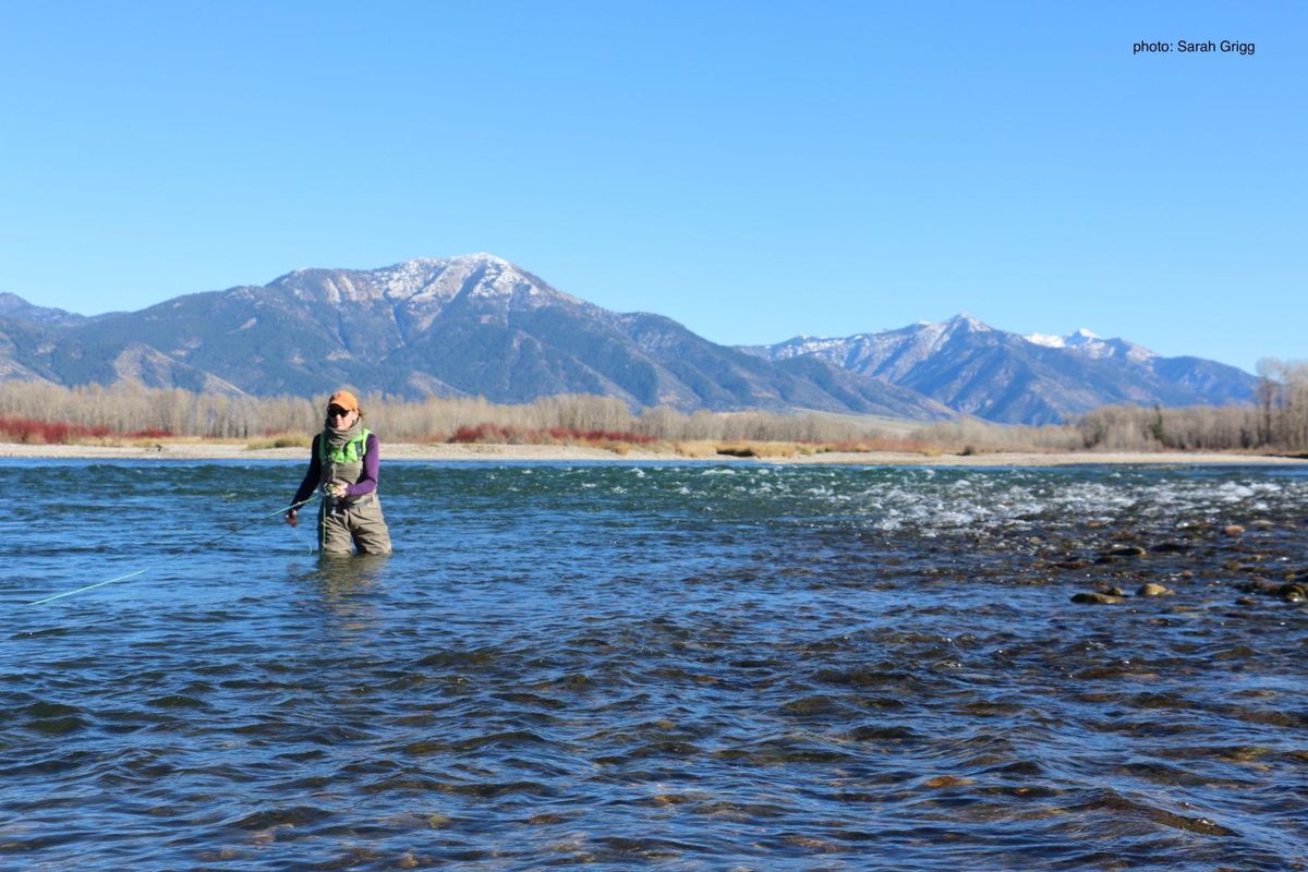 'Ocean to Idaho' follows migration of salmon from Pacific to central