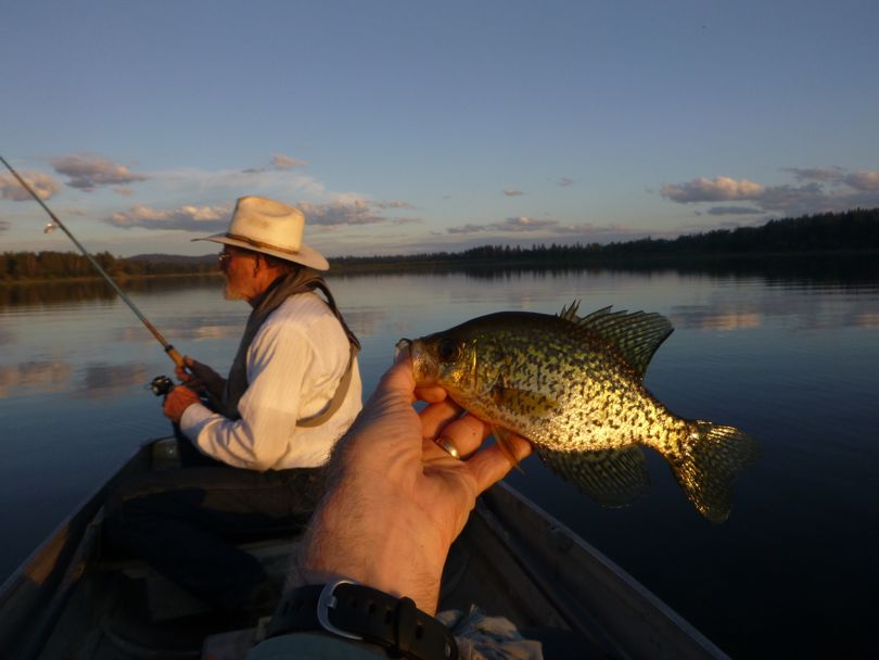 Simpler fishing rules proposed for Washington in 2017 could eliminate the 9-inch minimum size restriction for keeping crappie at Eloika Lake. (Rich Landers)