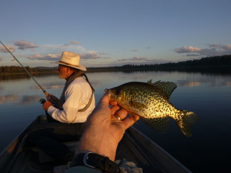 30 Per Day Statewide Crappie Limit Proposed