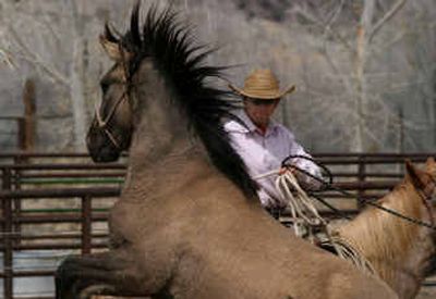 Horse trainer Roeliff Annon works with a wild horse last month at La Estancia Alegre in Alcalde, N.M.
(Associated Press / The Spokesman-Review)