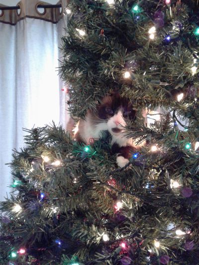 Better start humming.