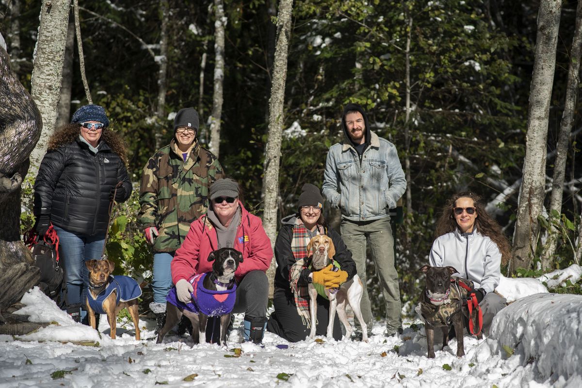 The Furry Farm Rescue had pack walk on Rathdrum Mountain on Saturday.  (Angela Schneider)