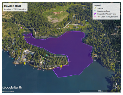 This Google Earth image shows the areas of Hayden Lake under a public health advisory after a harmful algae bloom was discovered through water testing in July 2025. (Courtesy Panhandle Health District )