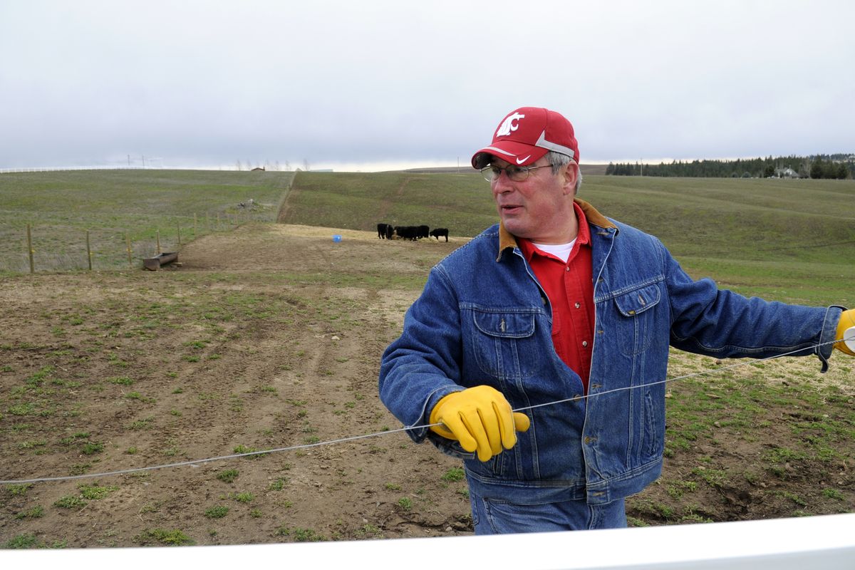 Moos, who grew up as a rancher’s kid in Edwall, Wash., hooks up electric fencing. (Jesse Tinsley)
