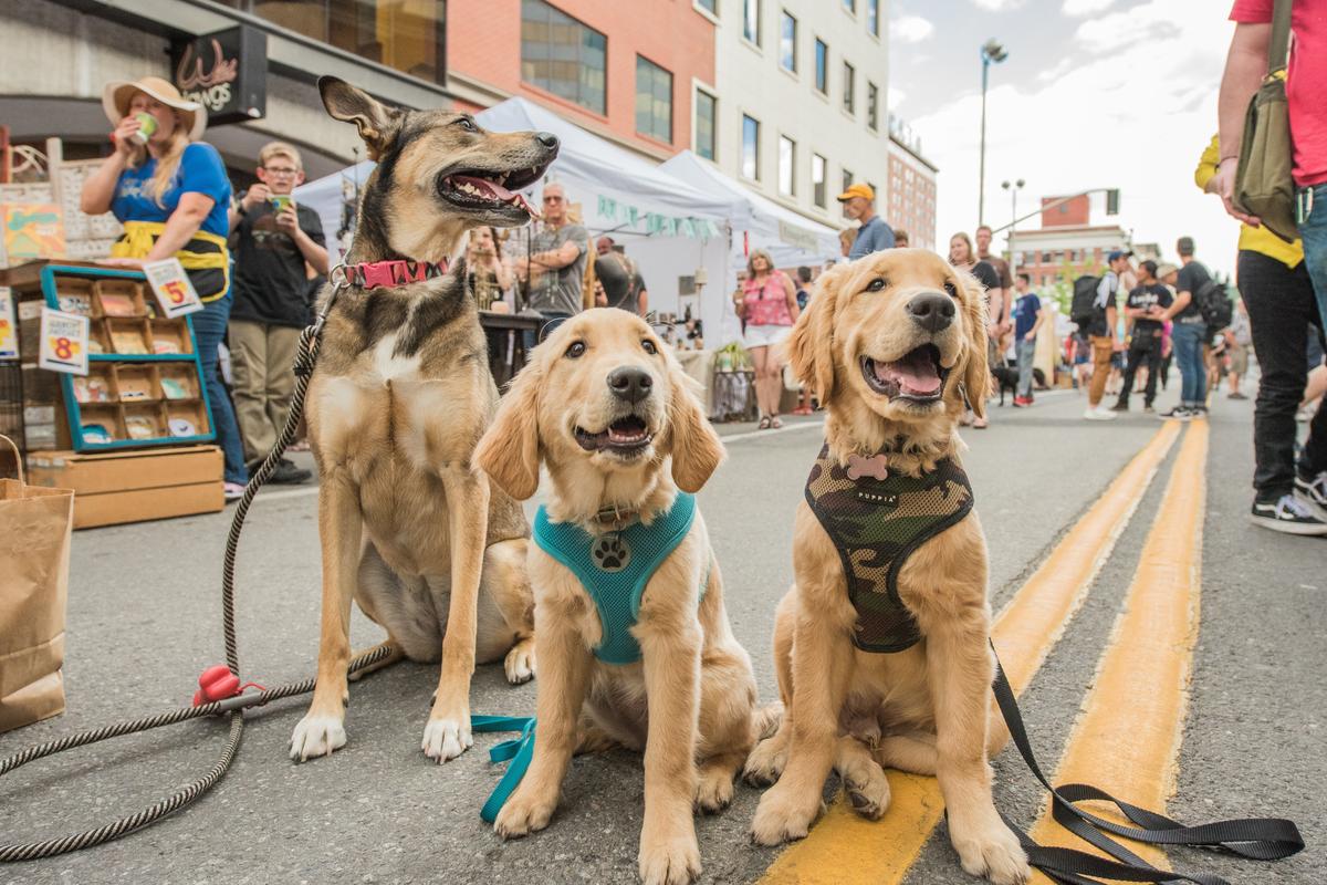Three art connoisseur’s dogs sit in the middle of North Howard Street during Terrain’s Bazaar 2018.  (Courtesy of Erick Doxey)