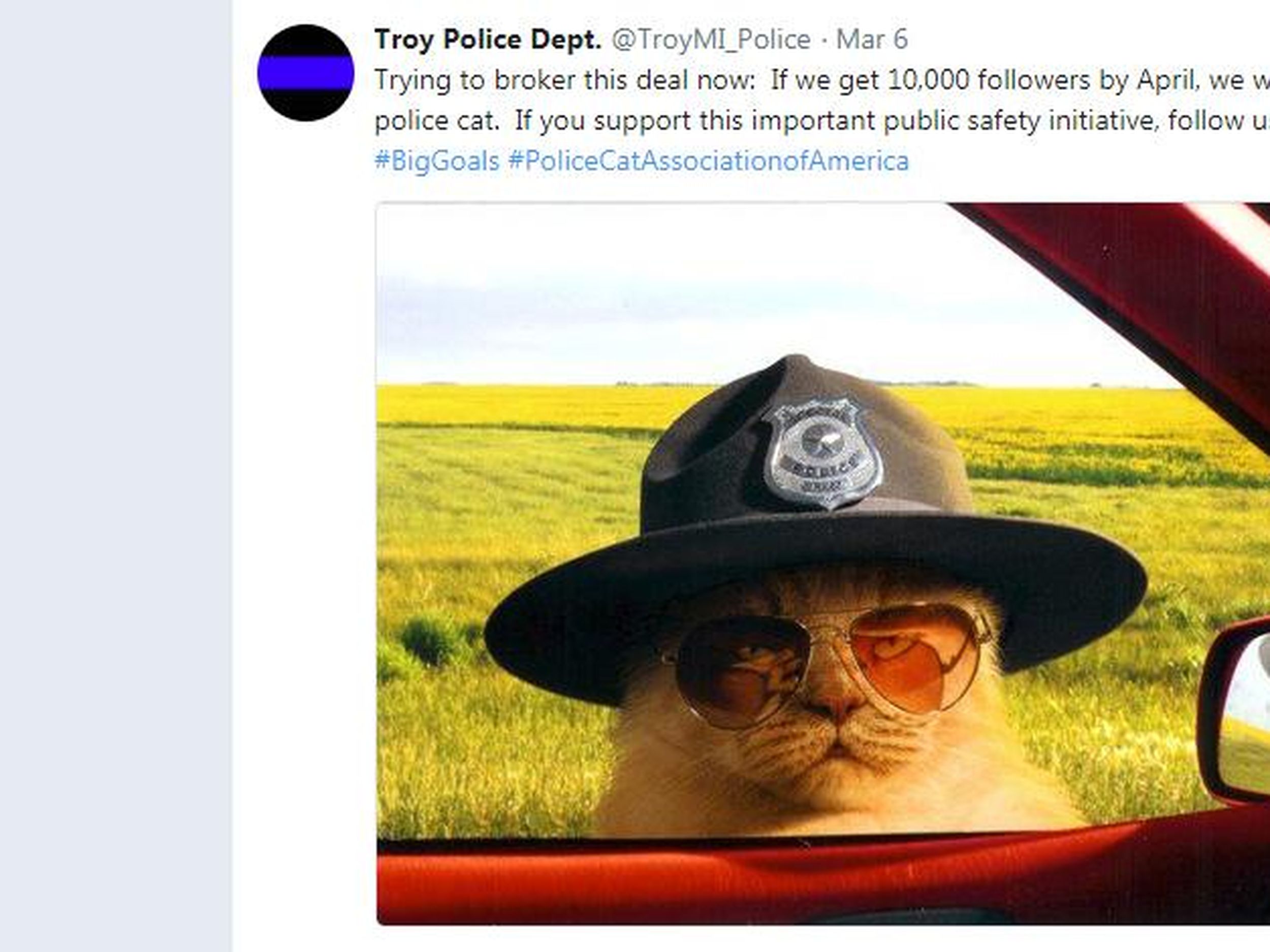 10K: Troy Police Department to get police cat
