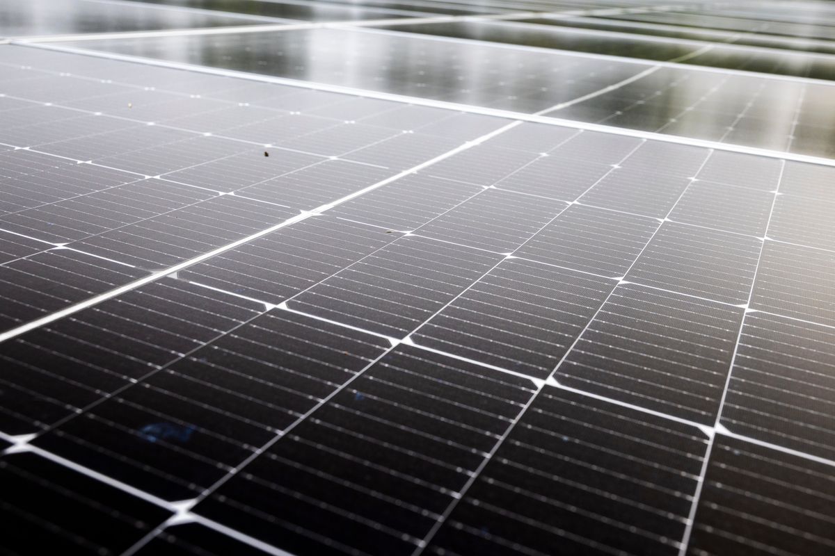 The Little Elk solar project in Elkton, Md., Sept. 30, 2025. The project is among those owned by CleanCapital, a company that develops and operates solar and battery storage projects around the country. With federal subsidies ending or becoming hard to claim, companies are racing ahead with solar, wind and battery projects. (Kyle Grantham/The New York Times) (KYLE GRANTHAM)