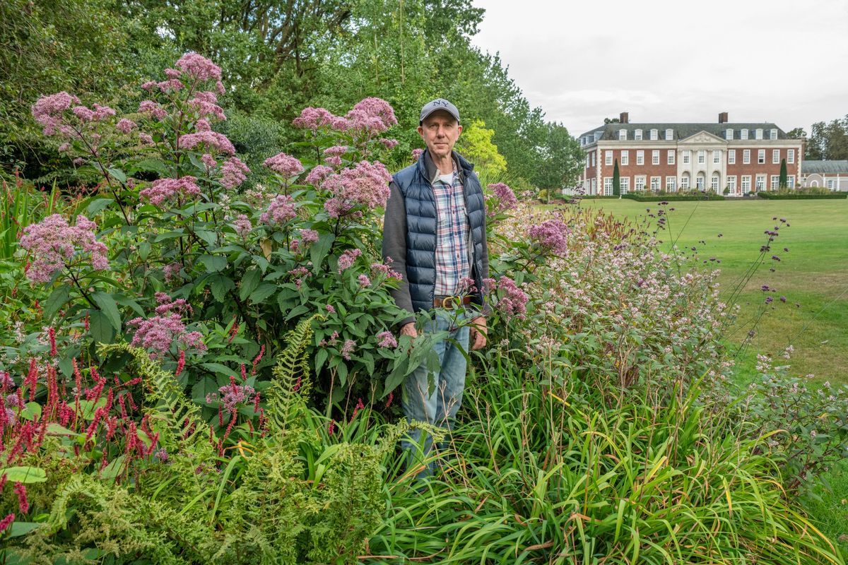 Stephen Crisp, head gardener of the U.S. ambassador’s residence in London, stands among eupatorium, persicaria and sanguisorba. At right is Winfield House.  (Andrea Jones/For the Washington Post)