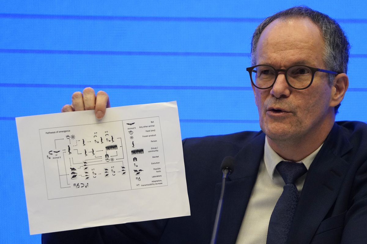 In this Feb. 9, 2021 photo, Peter Ben Embarek of the World Health Organization team holds up a chart showing pathways of transmission of the virus during a joint press conference held at the end of the WHO mission in Wuhan in central China