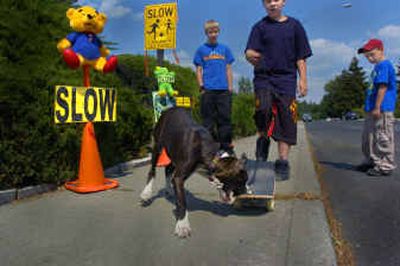 
Diane Mills and residents of Courtland Avenue near Esmeralda Golf Course have taken a unique tack in trying to get drivers to slow down. Mills has posted 30 toys with speed signs to protect the kids and dogs of the neighborhood. Playing with Bailey are, from left, Chris Van Dissel, Vincent Telles and Christian Telles.
 (Christopher Anderson/ / The Spokesman-Review)