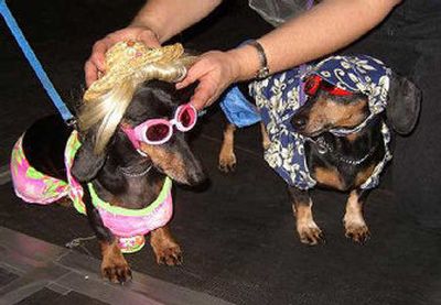 
Two dogs in the 2004 Animal Costume Contest were dressed as 