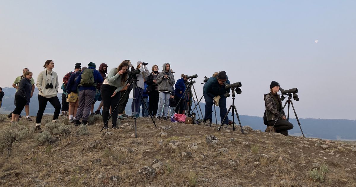 EWU creative writing students explore Yellowstone’s ‘wildness’ with wolves and words