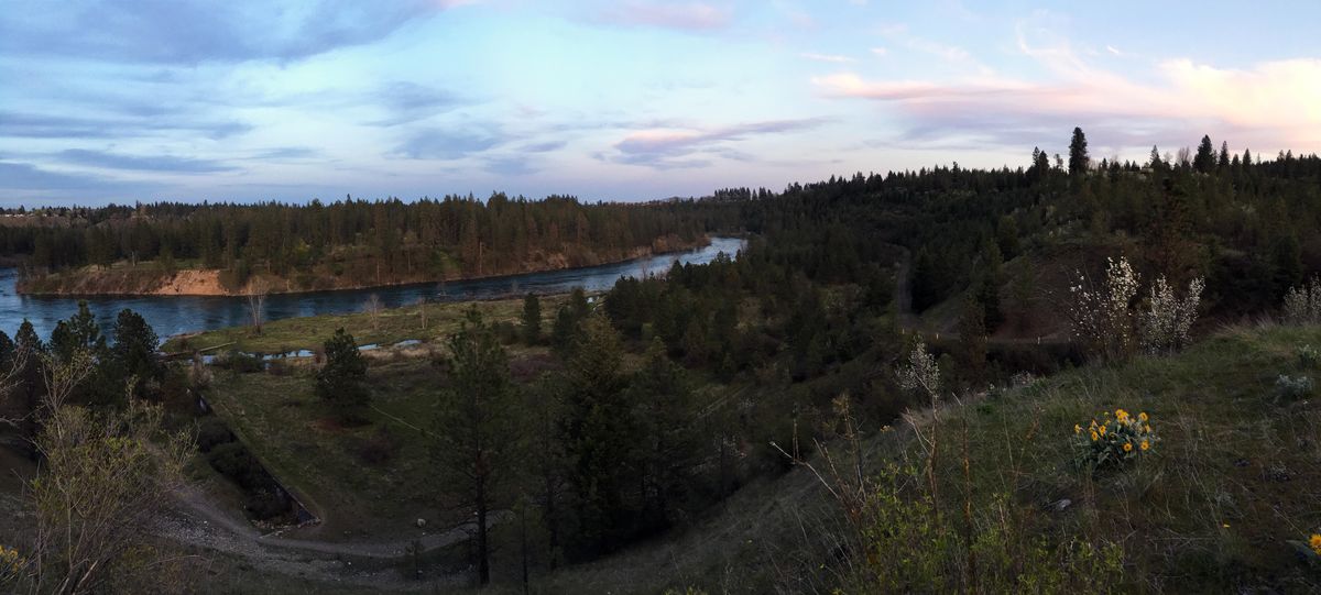 A view of the Spokane River taken on April 24. (Eli Francovich / The Spokesman-Review)