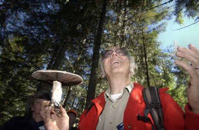 
Mushroom expert Michael Beug holds up a large Agaricus mushroom while talking with a group of mushroom pickers from the Spokane Mushroom Club Saturday at Priest Lake. 
 (Jesse Tinsley / The Spokesman-Review)