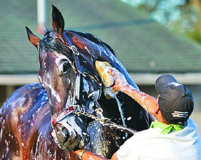 
Kentucky Derby hopeful Street Sense, in a lather after his morning workout Monday, hopes to break the Juvenile Jinx in Saturday's first of the 2007 Triple Crown races in Louisville, Ky. 
 (Associated Press / The Spokesman-Review)