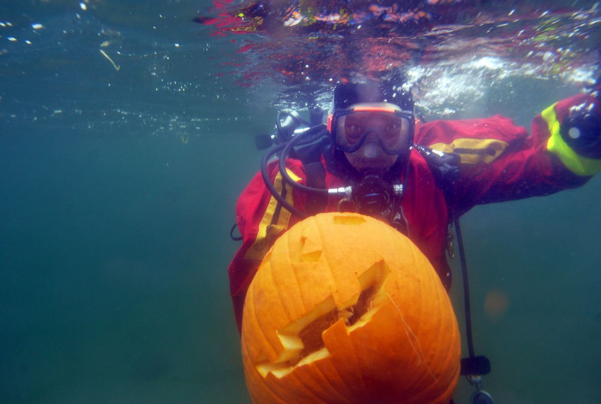 Diver John Saffeels floats toward shore with his carved pumpkin Saturday  off Lake Coeur d’Alene’s Sanders Beach during the underwater pumpkin carving contest sponsored by  Divers West, a local dive shop.  (Photos by Jesse Tinsley / The Spokesman-Review)