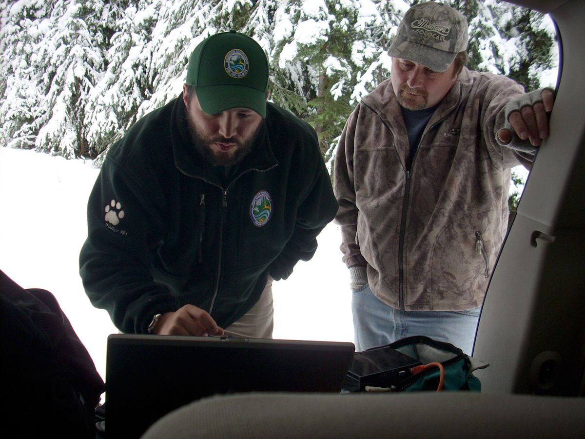 Chris Hammond retrieves data from a howl box stationed near Sullivan Lake while Scott Fisher, another biologist, looks on. Hunters reported wolves in the area, but the box didn’t record any vocalizations. (The Spokesman-Review)