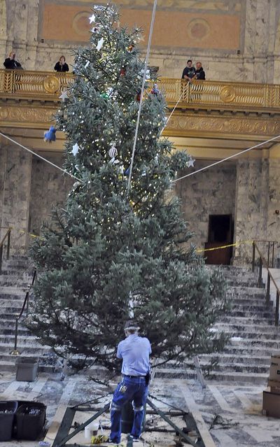 Wes Cline of the state Department of Enterprise Services works to get the trunk of a 33-foot noble fir into its base Monday as other state workers hoist the tree by pulling ropes stretched to the fourth floor balconies at the Capitol in Olympia. The tree is so tall that the top two-thirds are decorated before it is lifted into the base. Lighting of the Holiday Kids Tree, sponsored by the Association of Washington Business, is scheduled for Friday evening. (Jim Camden / The Spokesman-Review)
