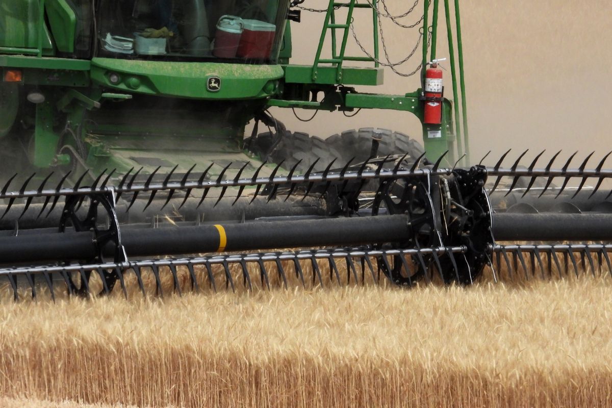 Kevin Klein, who farms near Sprague, Wash., harvests a field of wheat with his combine along Doerschlag Road E. in July. Wheat yields, crop quality and production in Washington were down to historic levels in 2021 largely due to the extended drought, according to recently released figures from the U.S. Department of Agriculture.  (Jesse Tinsley/THE SPOKESMAN-REVI)