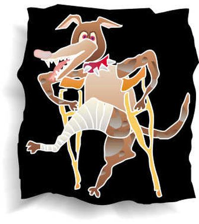 
McClatchy-Tribune illustrations
 (McClatchy-Tribune illustrations / The Spokesman-Review)