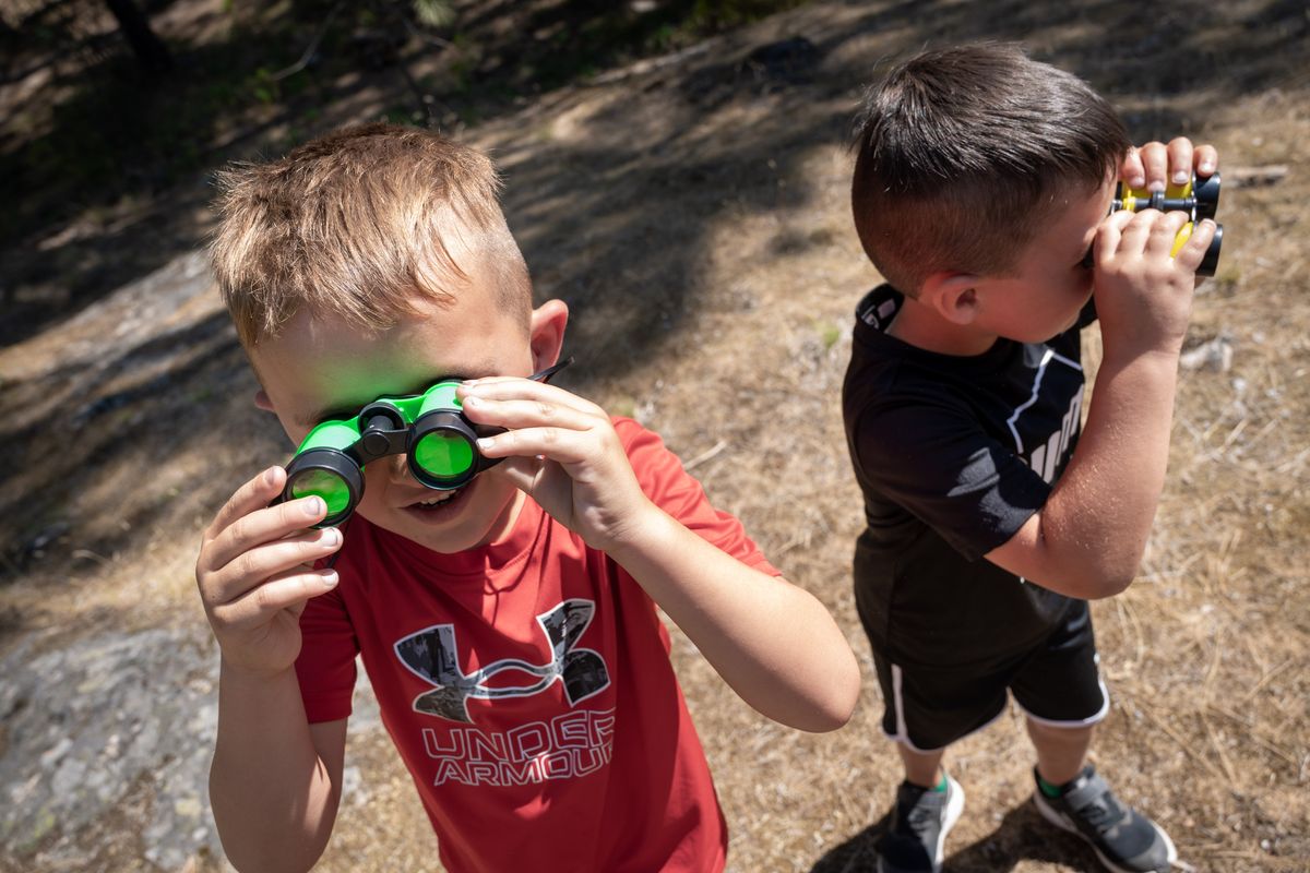 Little Woodland Adventures preschoolers Lincoln Leskowski, 6, left, and brother Liam, 5, search for birds during their day exploring at Dishman Hills Natural Area on July 2, 2021.  (Colin Mulvany/The Spokesman-Review)