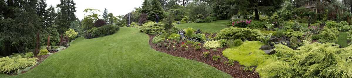 Above: Claudia Lowry’s garden features curving walkways, numerous vistas and several water features. This panorama is made up of 11 separate images.