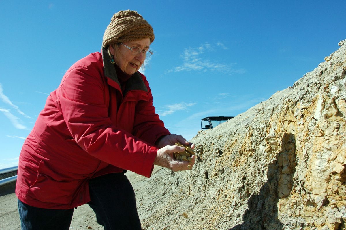 This April 23, 2012 photo shows Ellen Pfister inspecting the embankment of a coal mine access road that passes through her ranch in the Bull Mountains  south of Roundup, Mont. Rising U.S. coal exports that the industry hopes can offset flagging domestic demand are reviving worries among some Montana ranchers that their way of life could be sacrificed to feed Asian energy demands. Near the town of Roundup, the once-shuttered Bull Mountain mine could produce more than 9 million tons of coal this year, more than half headed overseas. (Matthew Brown / Associated Press)