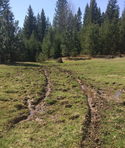 Vandals in a four-wheel drive tore up a meadow in April.