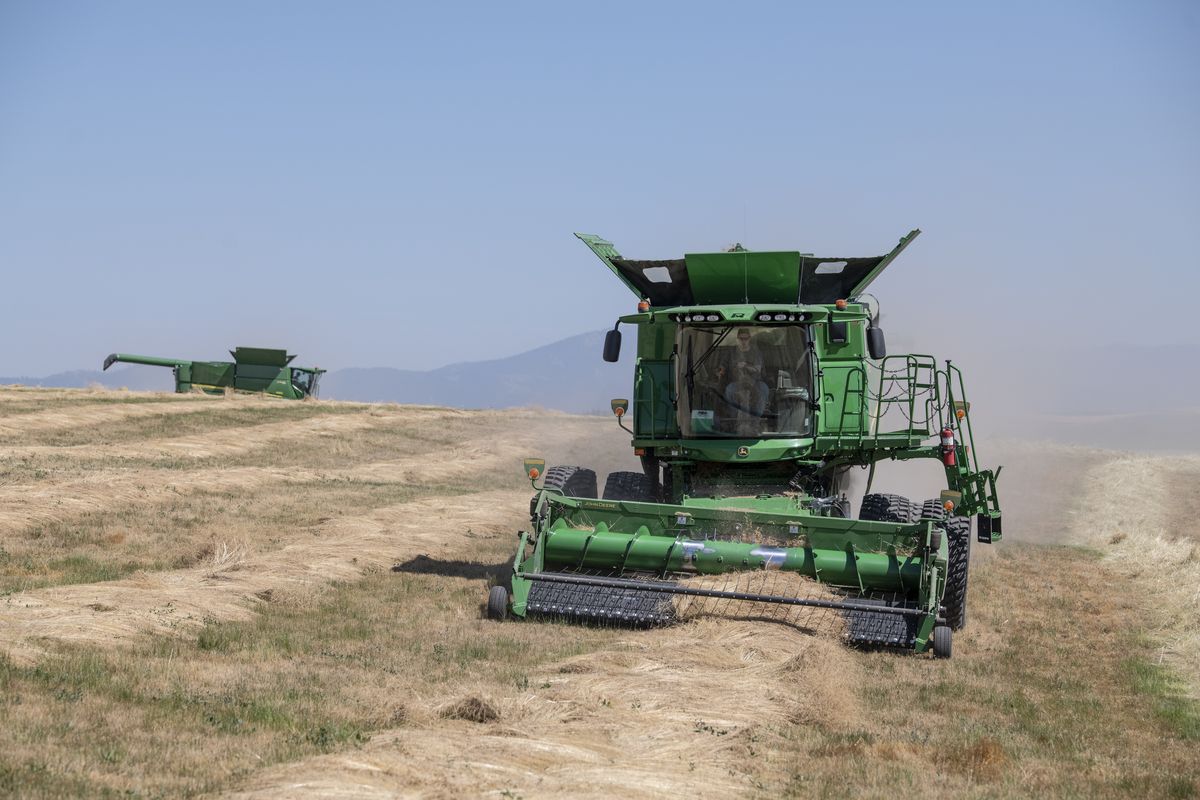 Derek Green, one of Lonnie and Marci Green’s two sons, drives a combine and harvests bluegrass seed Aug. 2 on the family farm near Fairfield, Wash. Derek’s brother, Jordan, is following him in another combine. Another is driven by a farm employee.  (Jesse Tinsley/The Spokesman-Review)