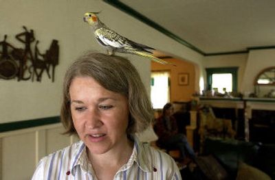 
  Tina Morrison has been reunited with Max, her 4-year-old female cockatiel, after the bird flew the coop last week from her South Hill home. 
 (Dan Pelle / The Spokesman-Review)
