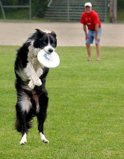 
Join the fun at the fundraiser at Coeur d'Alene City Park today from noon to 3 p.m. and watch some happy dogs chase Frisbees and their tails. 
 (File / The Spokesman-Review)