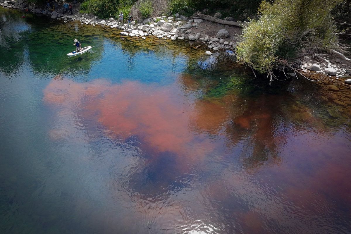 A reddish plume is seen in the shallows of the Spokane River on Tuesday as the Spokane County Regional Water Reclamation Facility conducted research on how treated effluent from the regional sewage plant moves through the river. The nontoxic dye was placed in the plant’s outflow and observed as it reached the river.  (Jesse Tinsley/THE SPOKESMAN-REVIEW)