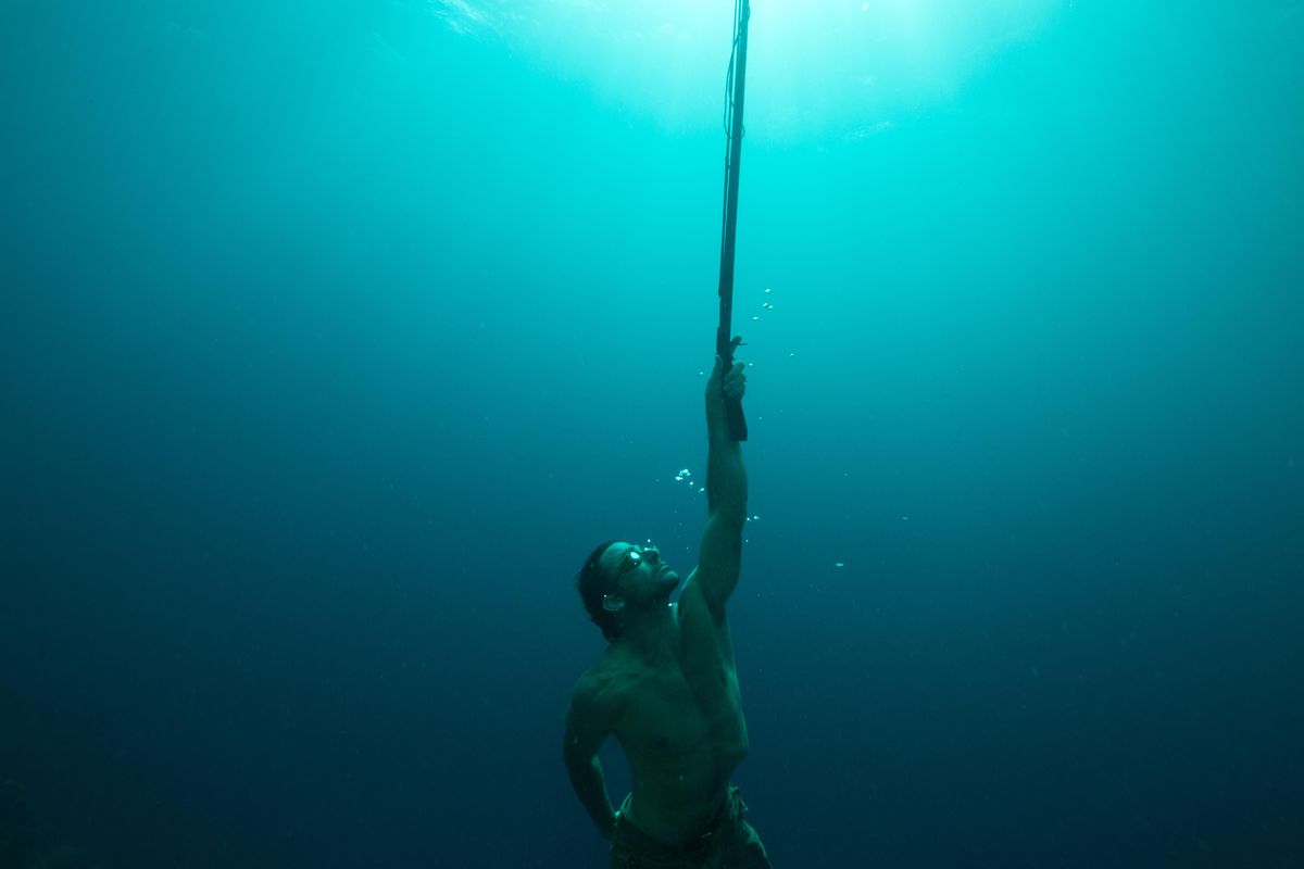 Hazen Audel of Spokane surfaces with a harpoon while diving for food off the Indonesian island of Sulawesi during an episode of the Primal Survivor show he hosts for the National Geographic Channels. (Sam Mansfield / National Geographic Channels)