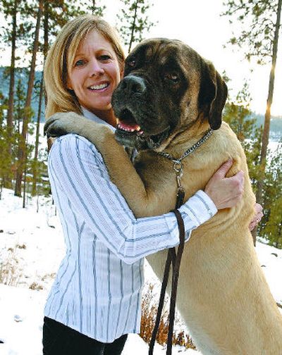 
Lisa Williksen poses with her bull mastiff Hulk on Tuesday. Hulk disappeared from home for seven days during the recent cold spell and was found 7  1/2 miles away. 
 (Photos by J. Bart Rayniak / The Spokesman-Review)