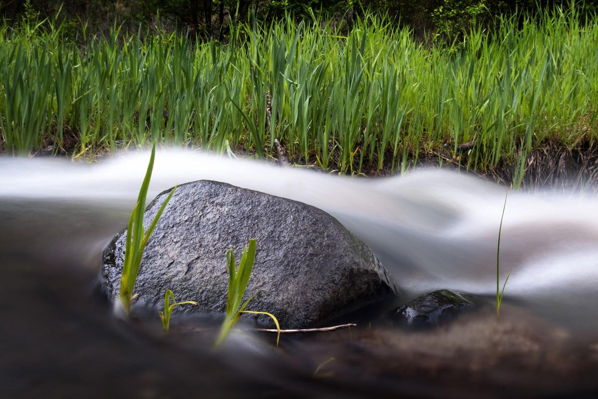 Blue Creek, shown in 2011, runs between the Midnite and Sherwood Uranium Mines on the Spokane Indian Reservation. The company that operated those mines as well as a uranium-processing facility in the area is seeking looser cleanup standards for groundwater contamination near another creek, Chamokane. (JED CONKLIN SPECIAL TO THE SPOKESMAN-REVIEW / JED CONKLIN SPECIAL TO THE SPOKESMAN-REVIEW)