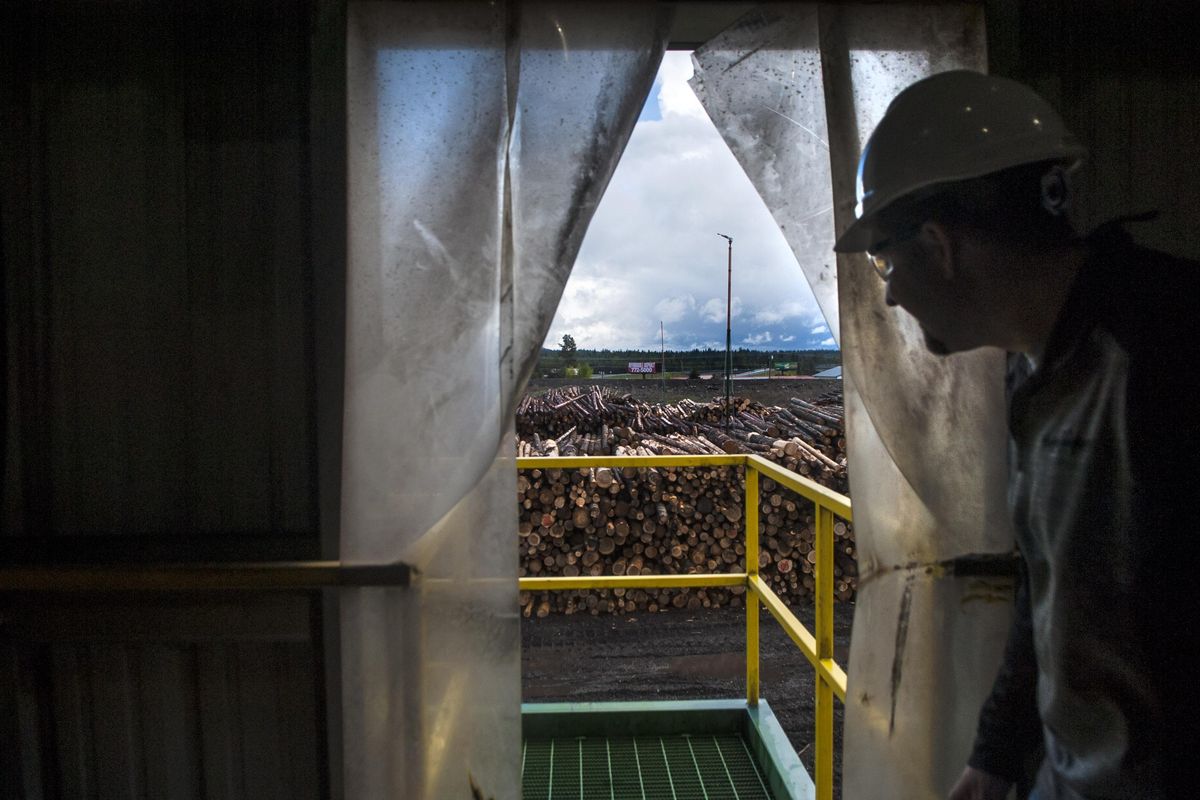 Tommy Groff, maintenance manager for Idaho Forest Group, leads a tour through the Chilco sawmill north of Coeur d’Alene on Tuesday, May 16, 2017. Idaho Forest Group and other forest products companies are helping pay for workforce training for hard to fill sawmill jobs. (Kathy Plonka / The Spokesman-Review)