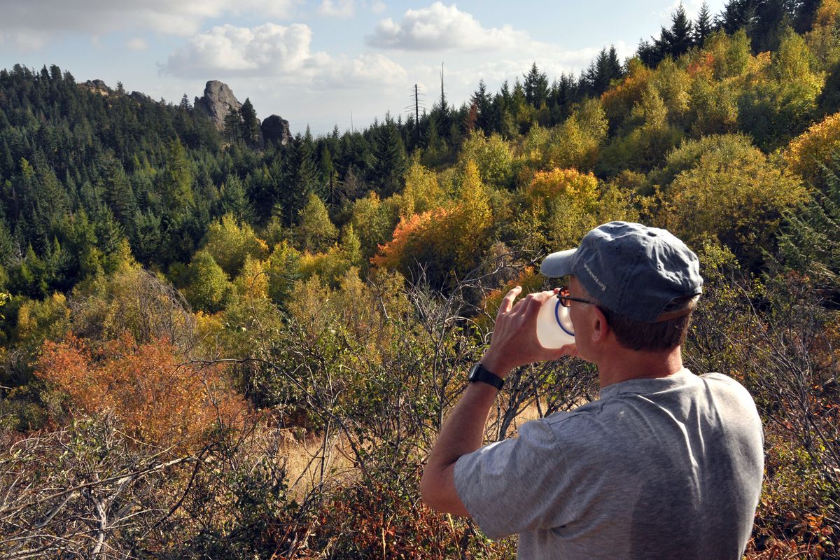 Ken Mondal of the Washington Trails Association looks at the Rocks of Sharon in the Iller Creek Conservation Area of Spokane County. (Rich Landers)