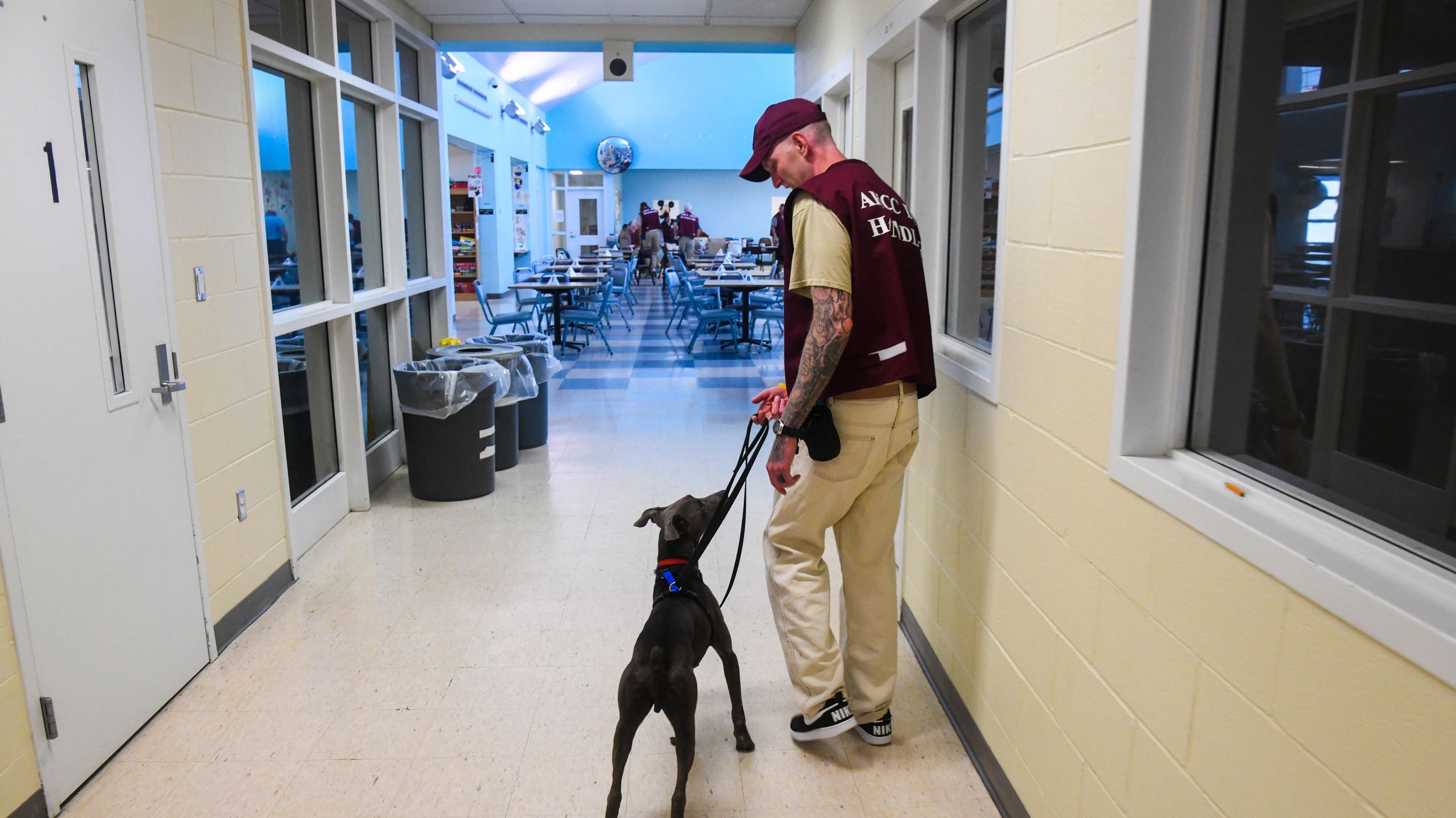 Can Dogs Visit Prisons