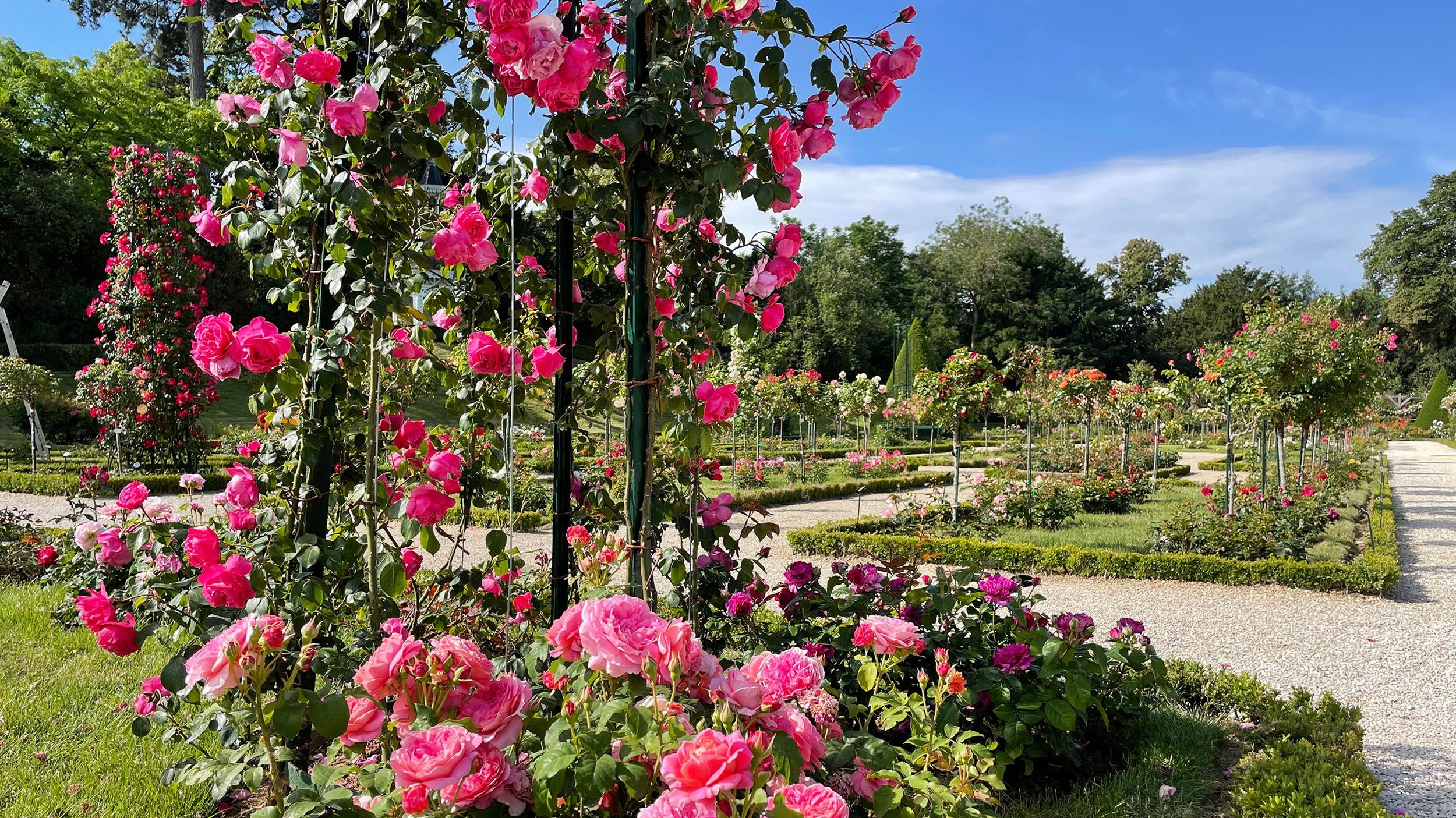 Stop to smell the roses in an unsung corner of Paris